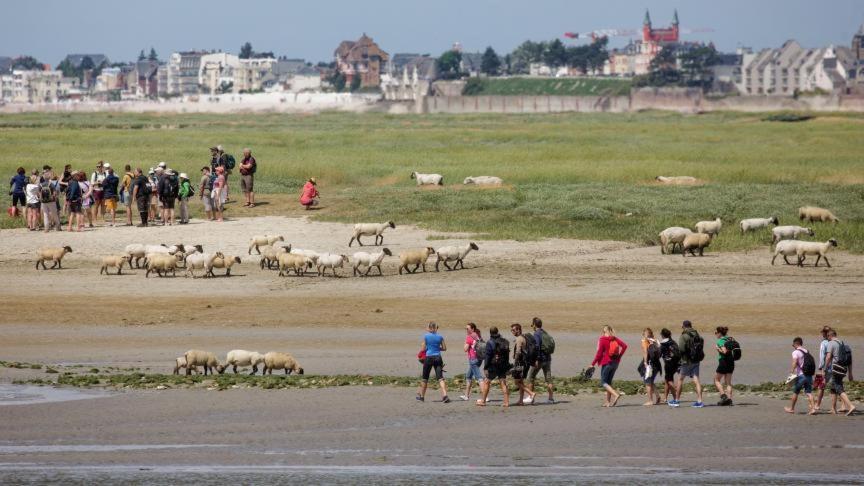 Les Arts - Cocon Romantique En Baie De Somme Boismont  Εξωτερικό φωτογραφία